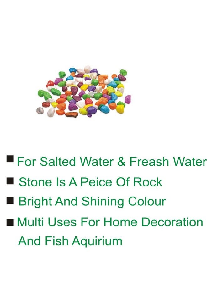 Afast Multicolor Pabbles/Stone for Garden, Plants, Aquarium & Home Decor, Marvels, Decoration, Fish Aquarium, Vase Filler, 0.5 KG -AAAI1 - Image 3